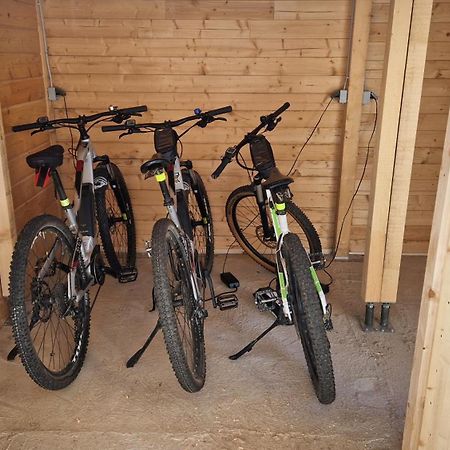 Ski-Bike-Apartment Bayerwald Lohberg Exterior foto