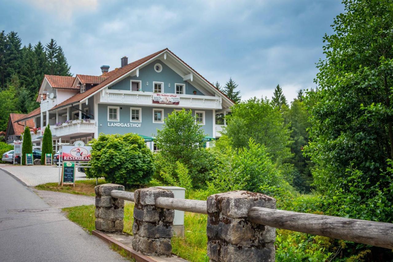 Ski-Bike-Apartment Bayerwald Lohberg Exterior foto