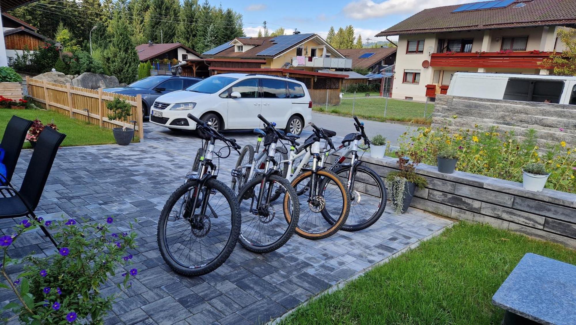 Ski-Bike-Apartment Bayerwald Lohberg Exterior foto